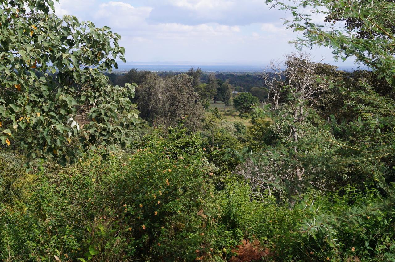 Arusha Villa Karamu Coffee Estate Usa River Exterior photo