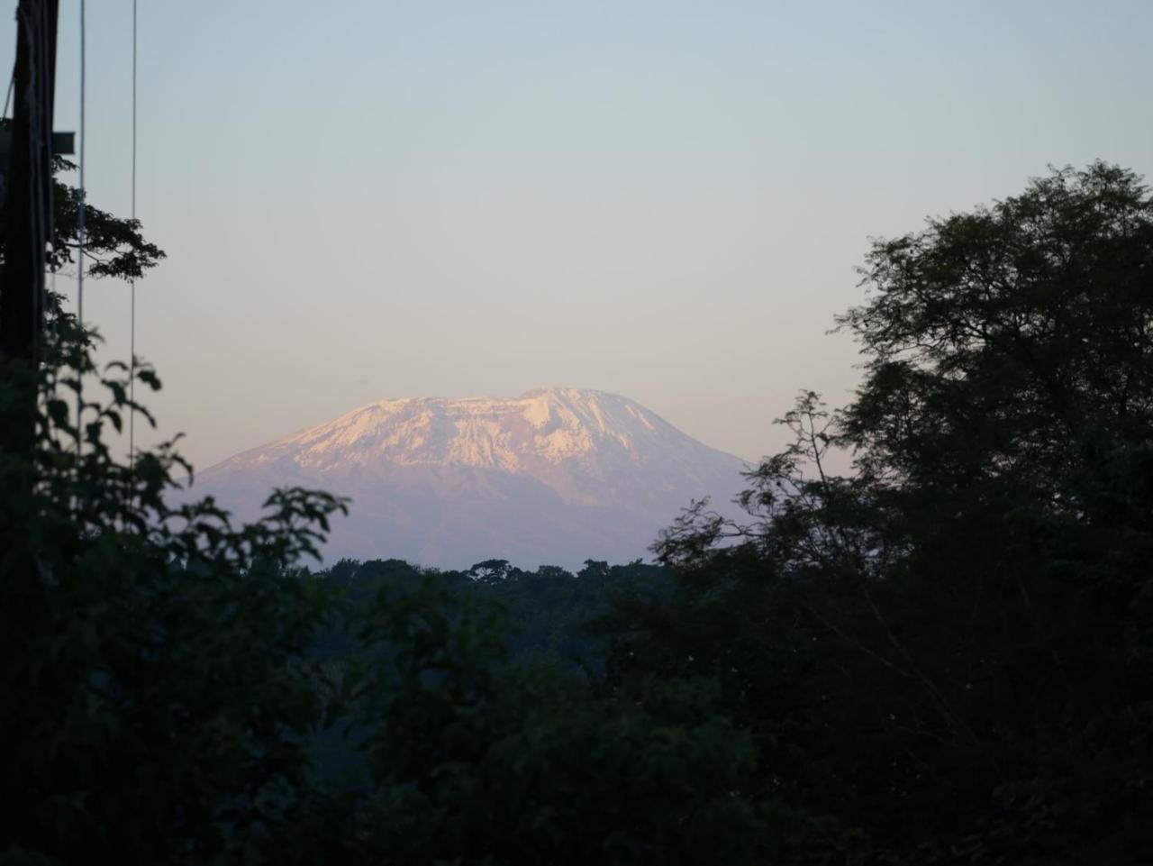 Arusha Villa Karamu Coffee Estate Usa River Exterior photo